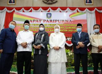 Besok, Jokowi Akan Lantik Gubernur dan Wakil Gubernur Kepri