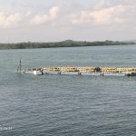 IMG-20210808-WA0003
