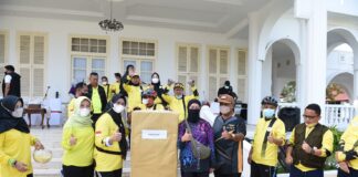 Dewi Kumalasari Ansar