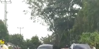 Zulkifli Terlindas