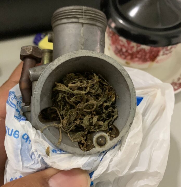 IMG-20220222-WA0010 Bea Cukai Gagalkan Ganja