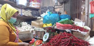 Harga cabai merah