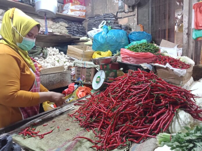 IMG-20220228-WA0004 Harga cabai merah