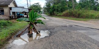 Jalan Berlubang