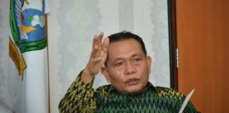 wisatawab korsel
