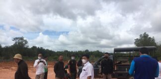 Penimbunan Mangrove Dihentikan