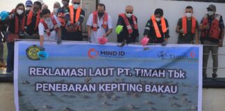 Lepaskan 600 Bibit Kepiting