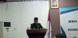 Wan siswandi