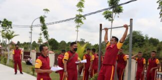 Cek kesehatan