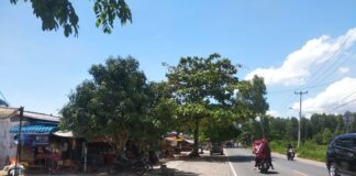 Relokasi Pedagang Ikan
