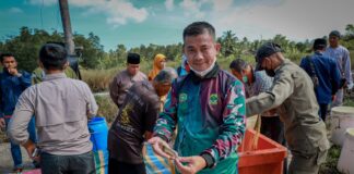 Panen Udang Vanamei