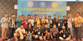 UPNVY