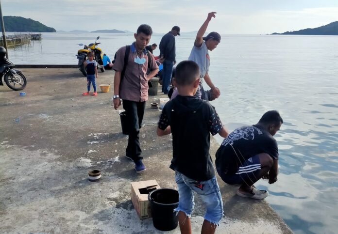 Mancing Ikan