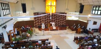 GPIB Zebulon