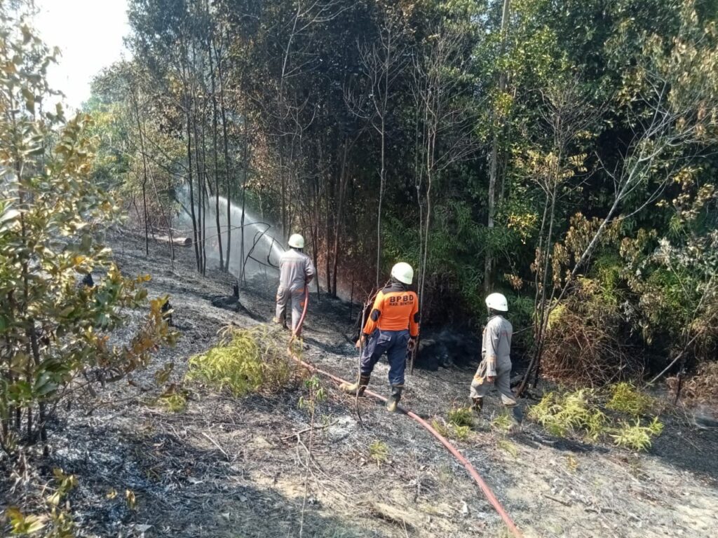 Lahan terbakar