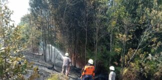 Lahan terbakar