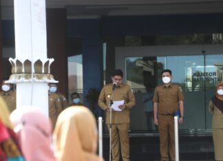Apel Perdana