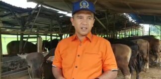 Kehalalan Vaksin PMK