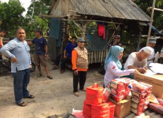 Pohon Tumbang