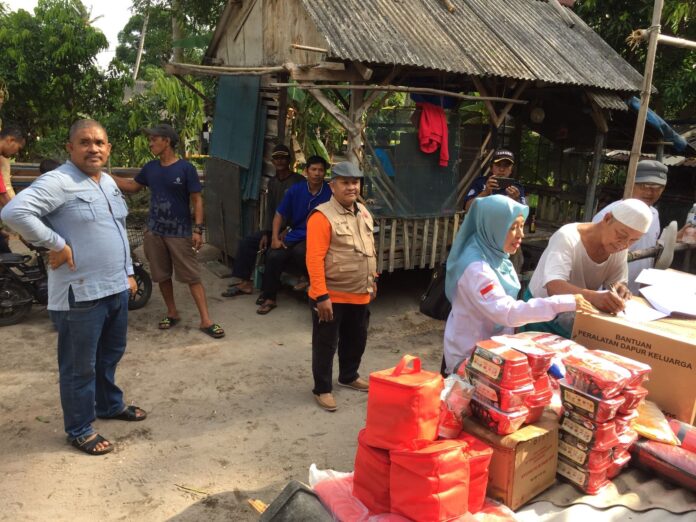 Pohon Tumbang