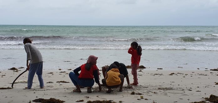 IMG-20221227-WA0003