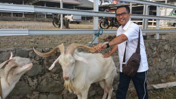 WhatsApp Image 2023-06-14 at 13.27.42 Stok Sapi