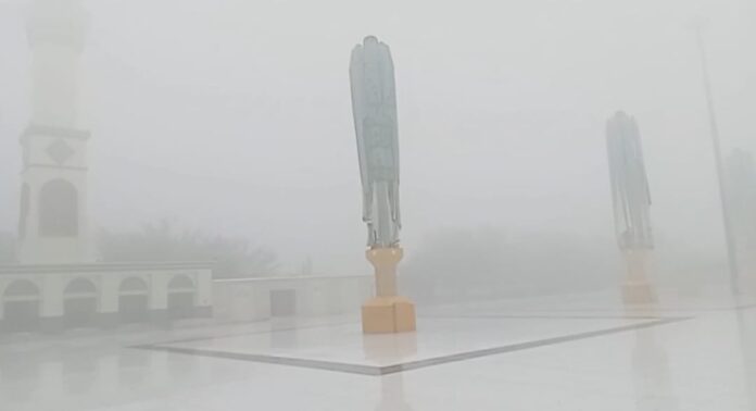 IMG-20250822-WA0007