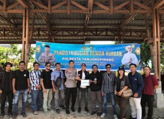 Polresta Tanjungpinang Kurbankan 14 Ekor Sapi dan 7 Ekor Kambing