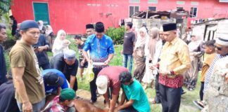 KKB Karimun Kurbankan 3 Ekor Sapi dan 6 Ekor Kambing