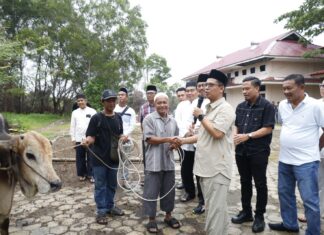 Jumlah Hewan Kurban di Karimun Meningkat, Bukti Ekonomi Membaik