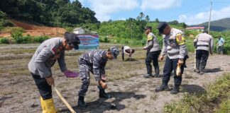 Polsek Jemaja Tanam Jagung di Lahan 5.000 Meter Persegi 