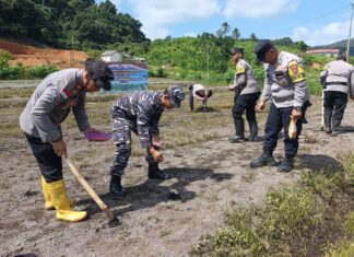 Polsek Jemaja Tanam Jagung di Lahan 5.000 Meter Persegi โ