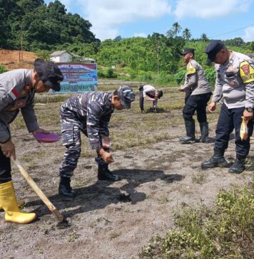 Polsek Jemaja Tanam Jagung di Lahan 5.000 Meter Persegi 