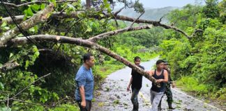 Kades Mampok dan Warga Bersihkan Pohon Tumbang yang Tutup Akses Jalan