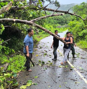 Kades Mampok dan Warga Bersihkan Pohon Tumbang yang Tutup Akses Jalan