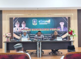 DPM-PTSP Kepri Sosialisasikan PP 28 Tahun 2025