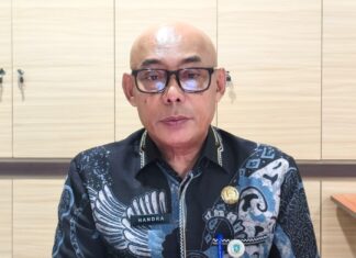 AS dan Jepang Masuk Lima Besar Negara Investor Utama di Kepri