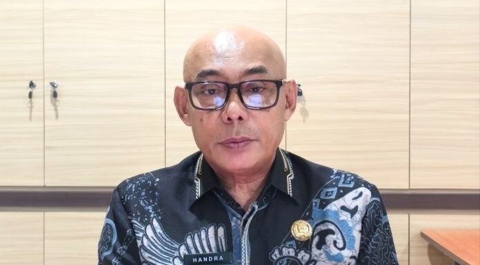 AS dan Jepang Masuk Lima Besar Negara Investor Utama di Kepri