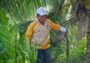 Gubernur Kepri Boyong OPD Gotong-royong di Pulau Penyengat