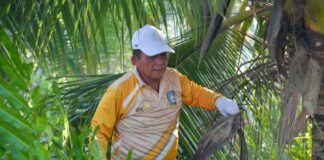 Gubernur Kepri Boyong OPD Gotong-royong di Pulau Penyengat