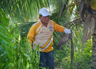 Gubernur Kepri Boyong OPD Gotong-royong di Pulau Penyengat