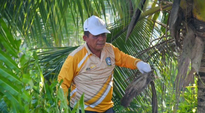 Gubernur Kepri Boyong OPD Gotong-royong di Pulau Penyengat