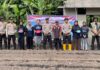 Polsek Jemaja Tanam Jagung Pipil di Lahan 5.000 Meter Persegi 