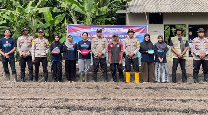 Polsek Jemaja Tanam Jagung Pipil di Lahan 5.000 Meter Persegi 