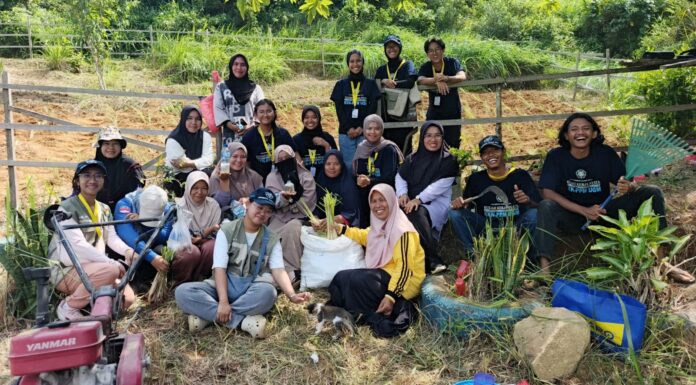 KKN UGM Latih PKK Jemaja Timur Kembangkan TOGA Hingga Pestisida Nabati 