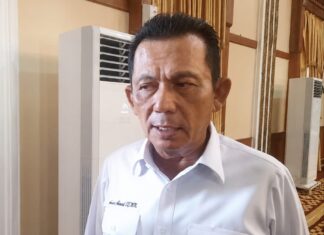 Gubernur Kepri Dorong PSN di Lingga Segera Terealisasi