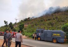 Polda Kepri dan Tim Gabungan Padamkan Karhutla Trans Barelang