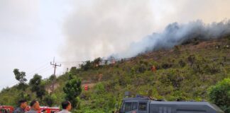 Polda Kepri dan Tim Gabungan Padamkan Karhutla Trans Barelang