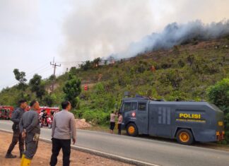 Polda Kepri dan Tim Gabungan Padamkan Karhutla Trans Barelang