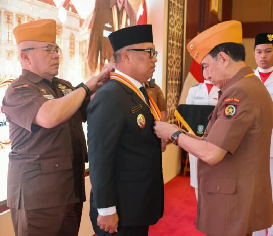 Wagub Kepri Terima Anugerah Bintang Veteran